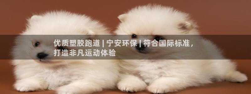 尊龙凯时能不能提现?：优质塑胶跑道 | 宁安环保 |