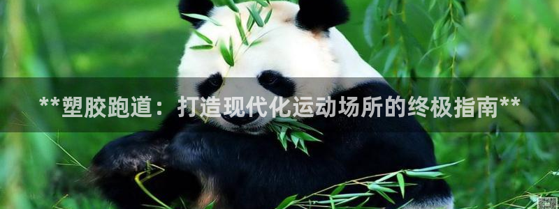 尊龙尊龙：**塑胶跑道：打造现代化运动场所的终极指南