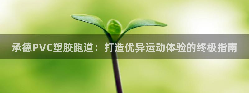 尊龙登录地址：承德PVC塑胶跑道：打造优异运动体验的