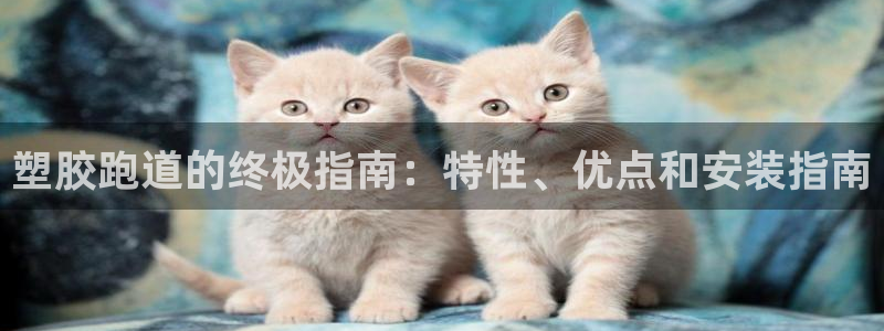 凯时ag旗舰厅网址是什么：塑胶跑道的终极指南：特性、