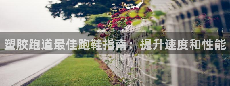 尊龙凯时注册入口：塑胶跑道最佳跑鞋指南：提升速度和性能