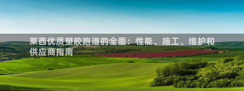 尊龙长相评价：莱西优质塑胶跑道的全面：性能、施工、维