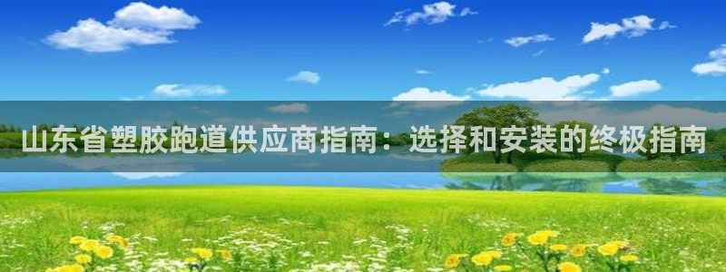 新版尊龙99：山东省塑胶跑道供应商指南：选择和安装的终极指南