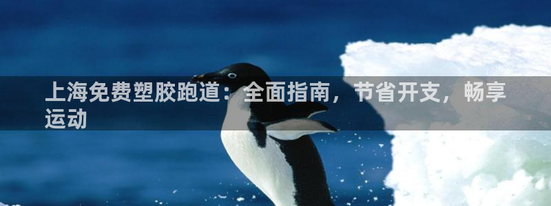 尊龙d88手机版下载：上海免费塑胶跑道：全面指南，节省开支，畅享
运动
