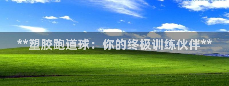 尊龙品牌怎么样：**塑胶跑道球：你的终极训练伙伴**