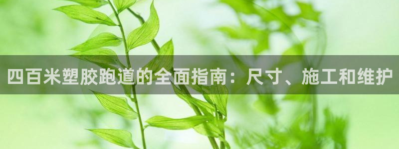 尊龙凯时代理官网入口：四百米塑胶跑道的全面指南：尺寸、施工和维护