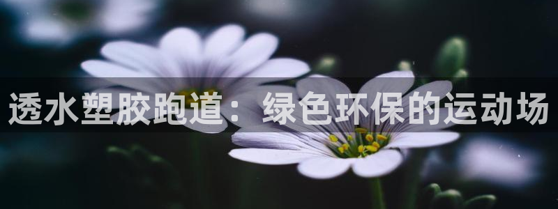 尊龙凯时人生就是搏包装优势：透水塑胶跑道：绿色环保的