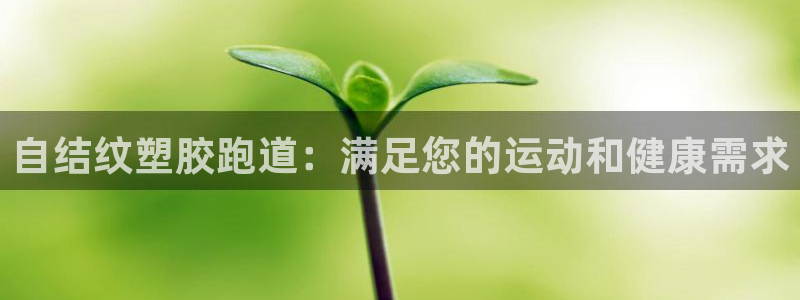 尊龙凯时贴吧：自结纹塑胶跑道：满足您的运动和健康需求