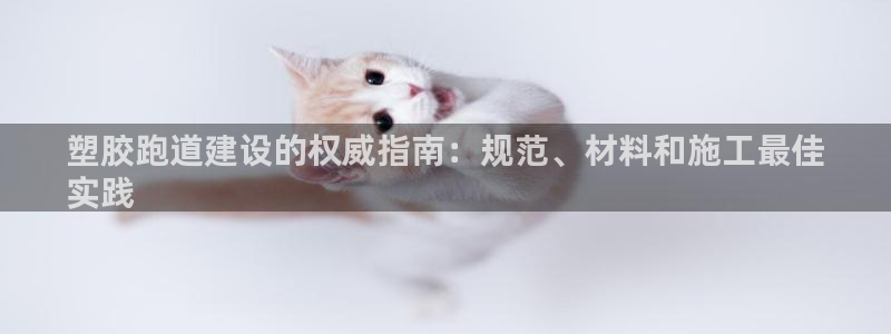 尊龙登录：塑胶跑道建设的权威指南：规范、材料和施工最佳
实践
