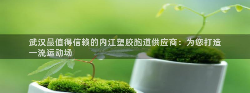 ag尊龙凯时集团：武汉最值得信赖的内江塑胶跑道供应商