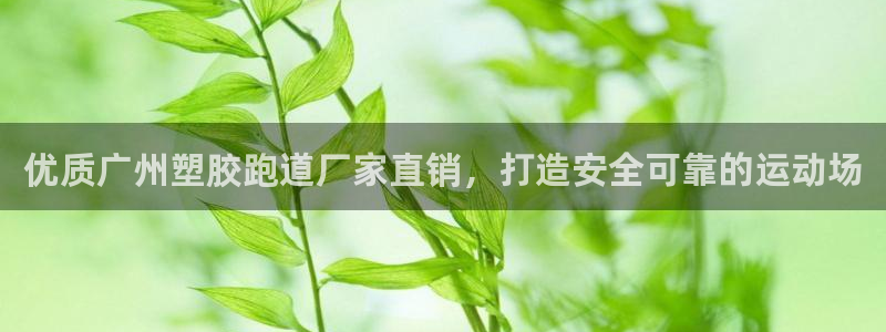 尊龙凯时网娱乐最新版下载：优质广州塑胶跑道厂家直销，