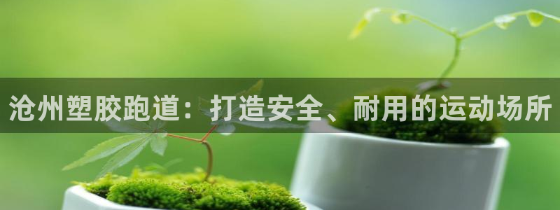 尊龙凯时官网首页：沧州塑胶跑道：打造安全、耐用的运动