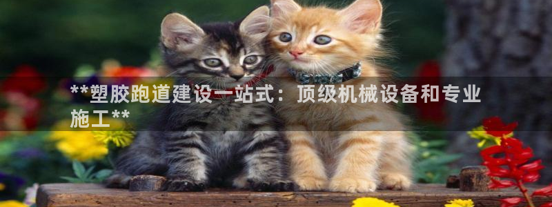 尊龙ag旗舰厅登录 租车app下载：**塑胶跑道建设