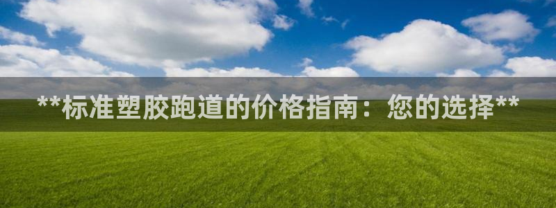 尊龙—人生就是博：**标准塑胶跑道的价格指南：您的选择**
