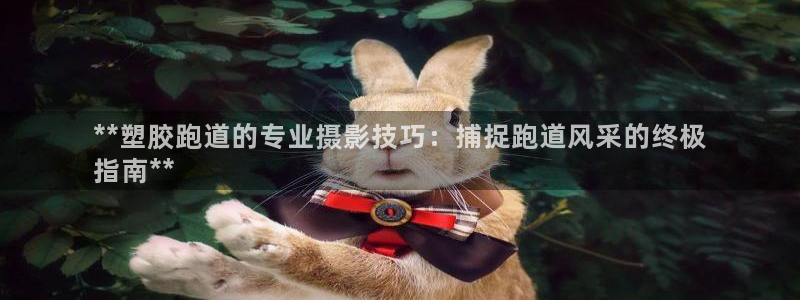 ag尊龙怎么样：**塑胶跑道的专业摄影技巧：捕捉跑道
