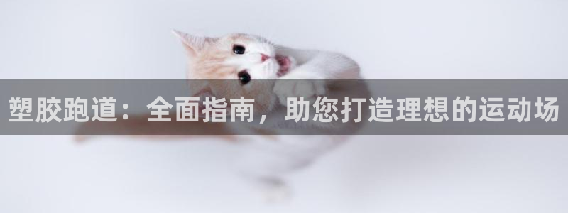 尊龙官方网站：塑胶跑道：全面指南，助您打造理想的运动场