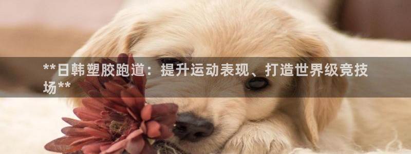 尊龙凯时投诉最狠的方法：**日韩塑胶跑道：提升运动表