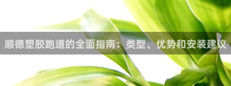 尊龙官网免费下载安装：顺德塑胶跑道的全面指南：类型、优势和安