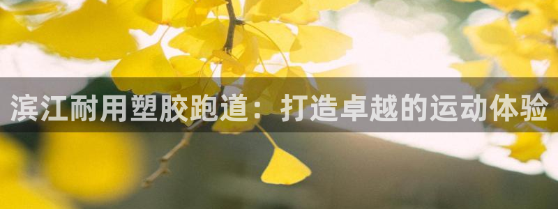 AG尊龙登陆网址：滨江耐用塑胶跑道：打造卓越的运动体验