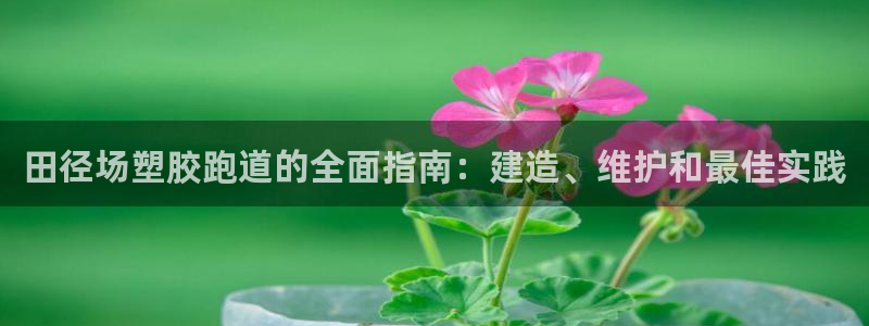 尊龙凯时提款冻卡吗：田径场塑胶跑道的全面指南：建造、维护和最
