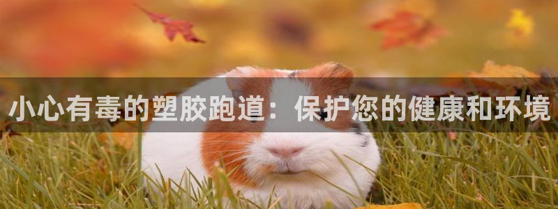尊龙凯时网站赌愽做假吗：小心有毒的塑胶跑道：保护您的健康和环境