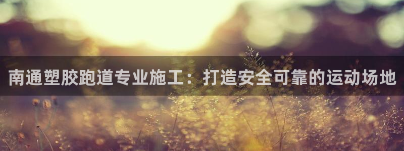 尊龙集团有限公司招聘：南通塑胶跑道专业施工：打造安全可靠的运