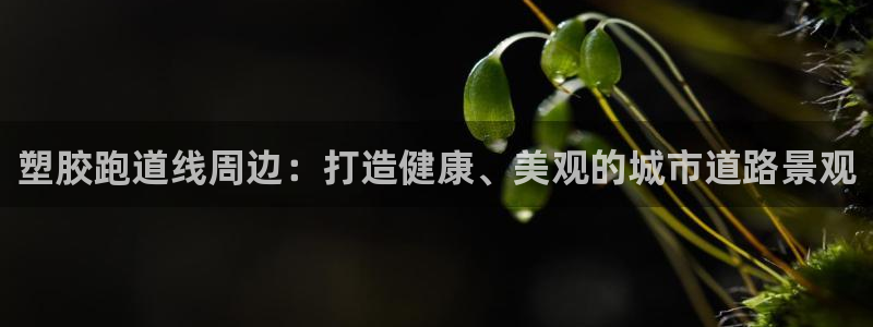 下载尊龙app