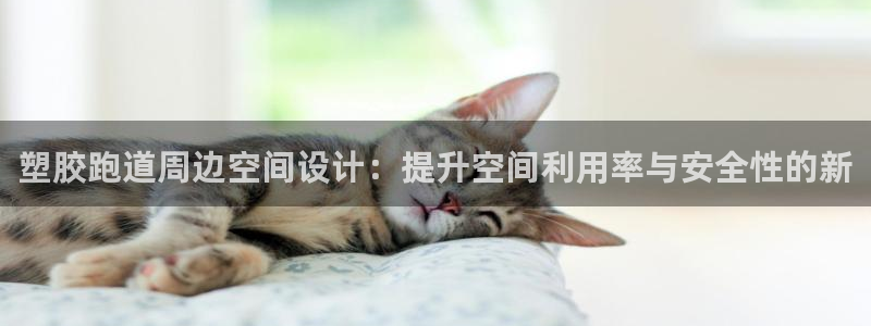 尊龙凯时一人生就是博官网