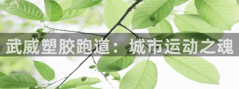 尊龙网址登录官网