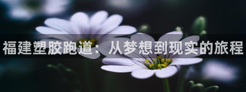 尊龙内地