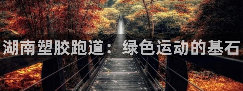 尊龙官方网站最新版V9.3.06介绍