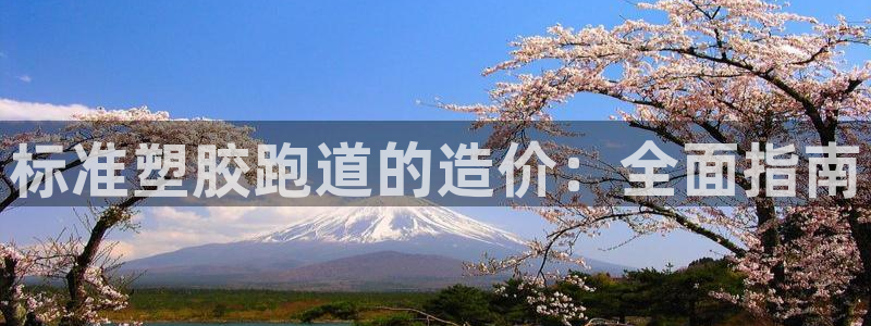 尊龙1003尊龙 - 百度：标准塑胶跑道的造价：全面指南