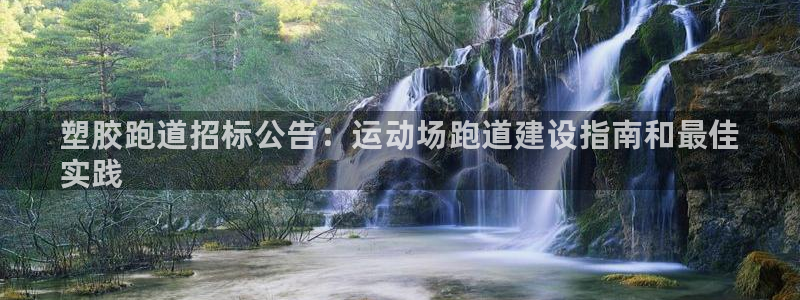 尊龙凯时法充十万返现多少：塑胶跑道招标公告：运动场跑道建设指