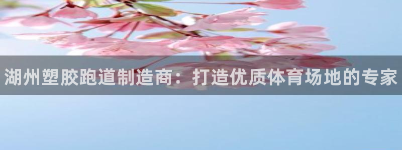 ag尊龙凯时官网：湖州塑胶跑道制造商：打造优质体育场地的专家