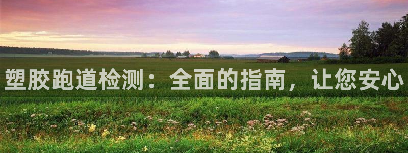 尊龙Ag：塑胶跑道检测：全面的指南，让您安心