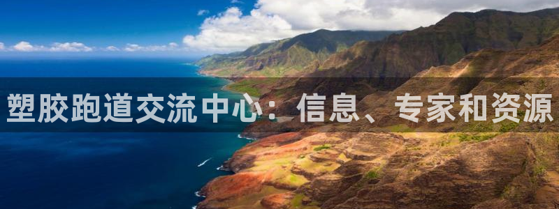 尊龙z6：塑胶跑道交流中心：信息、专家和资源