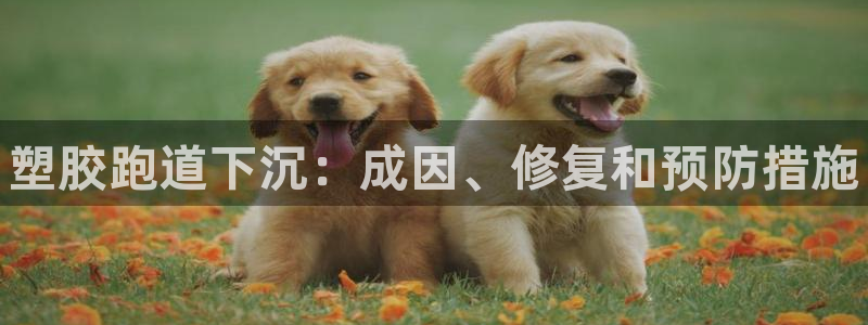 Z6尊龙凯时登录：塑胶跑道下沉：成因、修复和预防措施