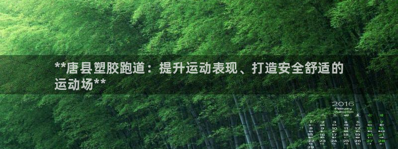 尊龙科技：**唐县塑胶跑道：提升运动表现、打造安全舒