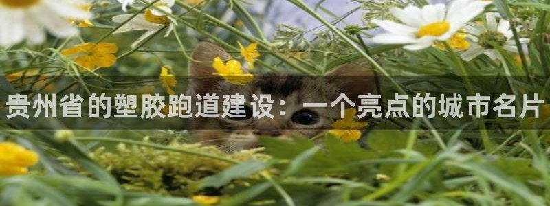 尊龙凯时取款一直支付中