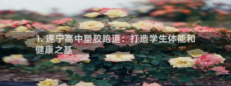 尊龙l1500：1. 遂宁高中塑胶跑道：打造学生体能和
健康