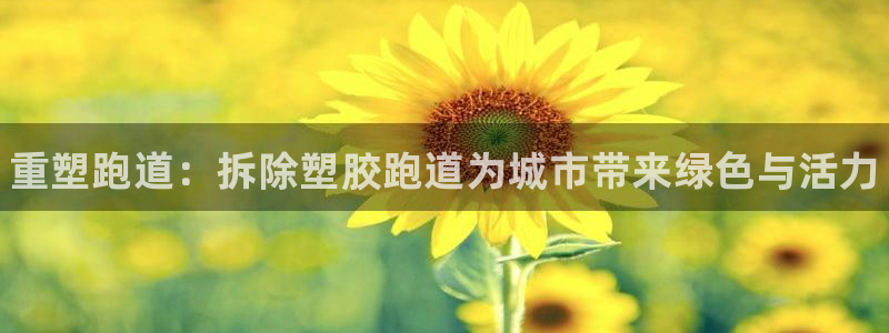 尊龙人生就是博i可靠吗