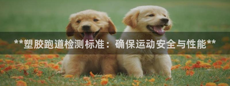 尊龙t300和t400哪个好：**塑胶跑道检测标准：确保运动