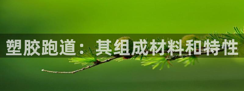 下载尊龙app：塑胶跑道：其组成材料和特性