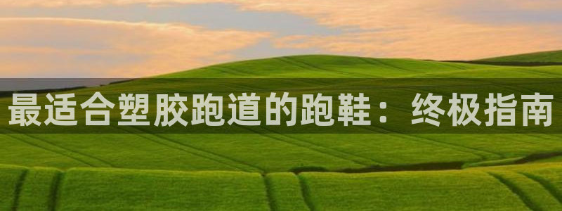 尊龙凯时平台入口：最适合塑胶跑道的跑鞋：终极指南