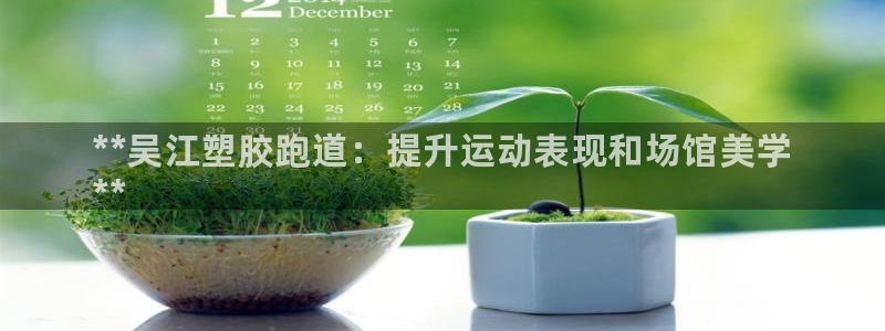 尊龙凯时论坛：**吴江塑胶跑道：提升运动表现和场馆美