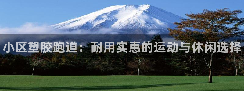 Ag尊龙平台：小区塑胶跑道：耐用实惠的运动与休闲选择