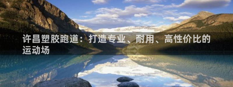 尊龙凯时城娱乐：许昌塑胶跑道：打造专业、耐用、高性价