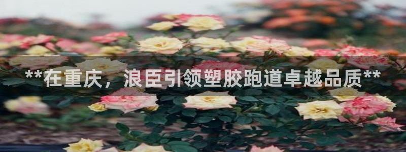 尊龙凯时百家乐手机下载：**在重庆，浪臣引领塑胶跑道卓越品质