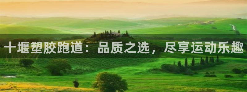 尊龙凯时集团：十堰塑胶跑道：品质之选，尽享运动乐趣