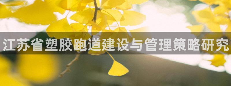尊龙新版App下载：江苏省塑胶跑道建设与管理策略研究